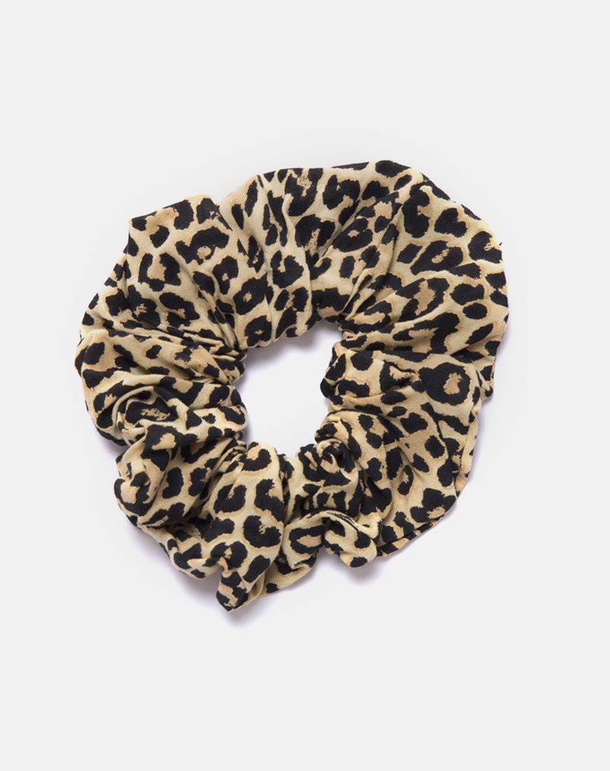Image du chouchou dans Rar Leopard