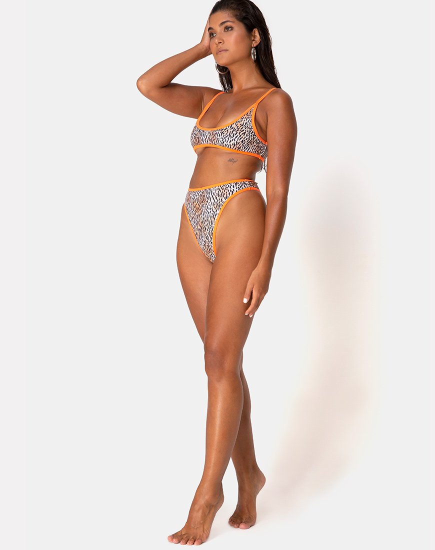 Sikila - Bas de bikini en mini tigre avec attaches orange