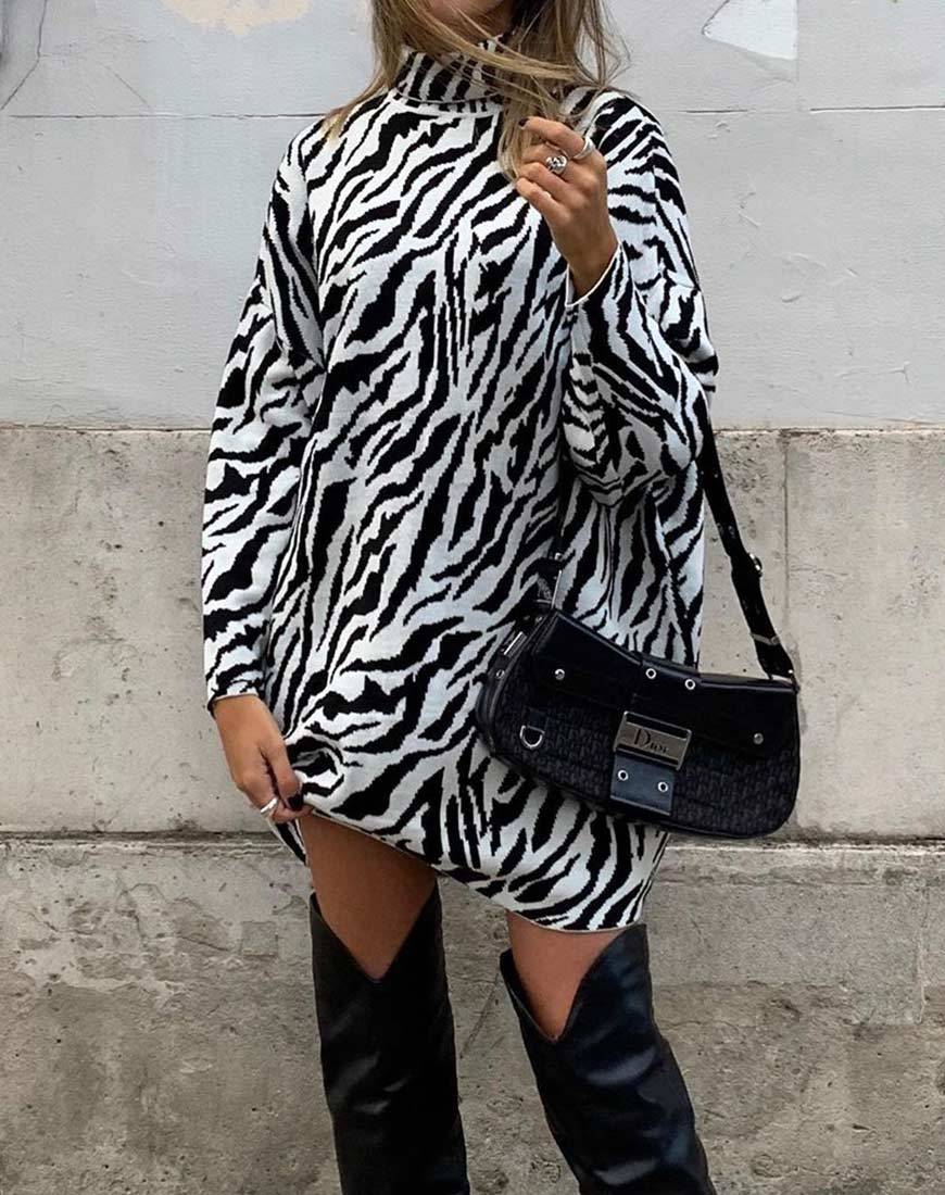 Image de Neivie Jumper Dress in Zebra N/B