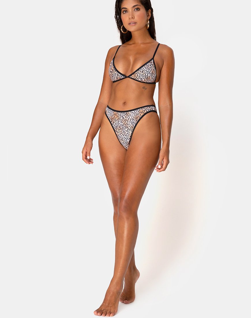 Image de Varna Bikini Top in Mini Tiger with Black Binds